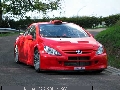 Peugeot 307 WRC